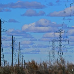 Electrical